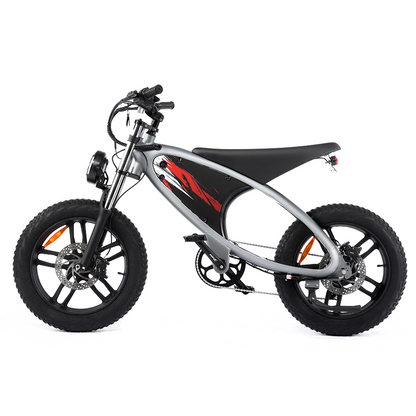 HX Q6 Moped-Style Fat Tire Electric Bike